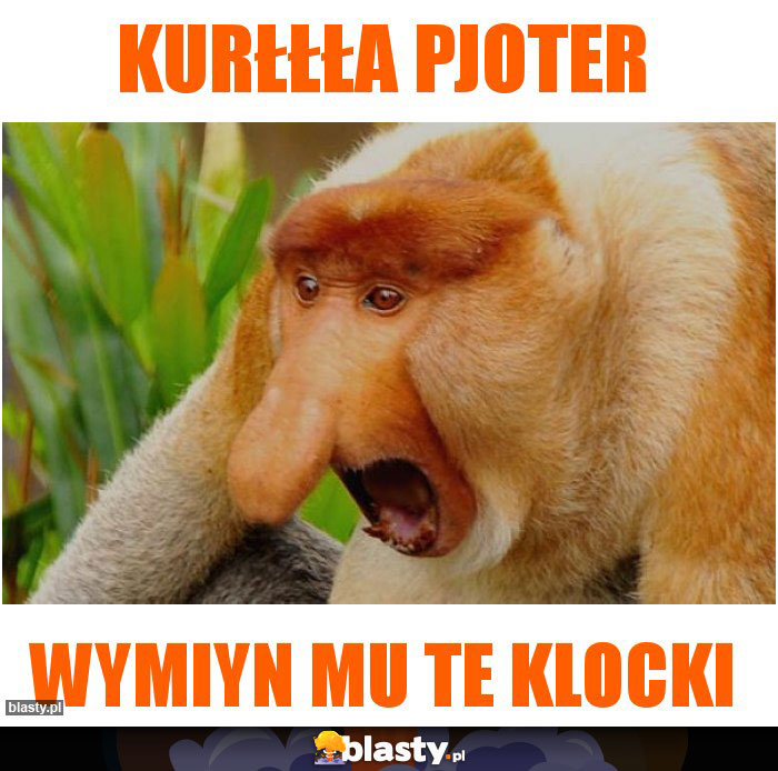 Kurłłła Pjoter