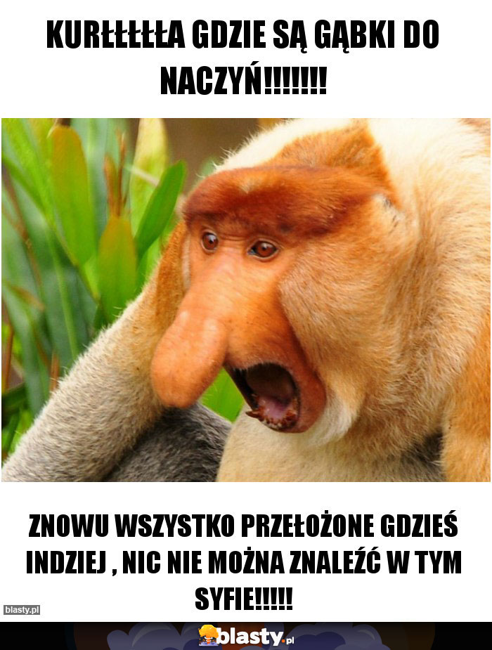 Kurłłłłła gdzie są gąbki do naczyń!!!!!!!