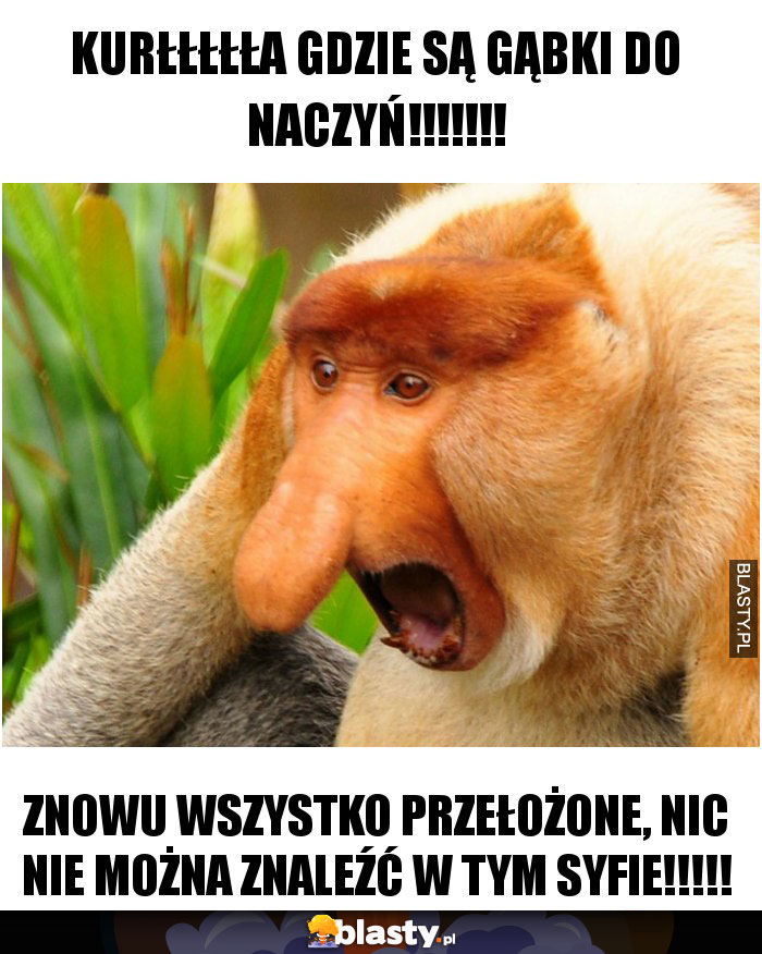 Kurłłłłła gdzie są gąbki do naczyń!!!!!!!