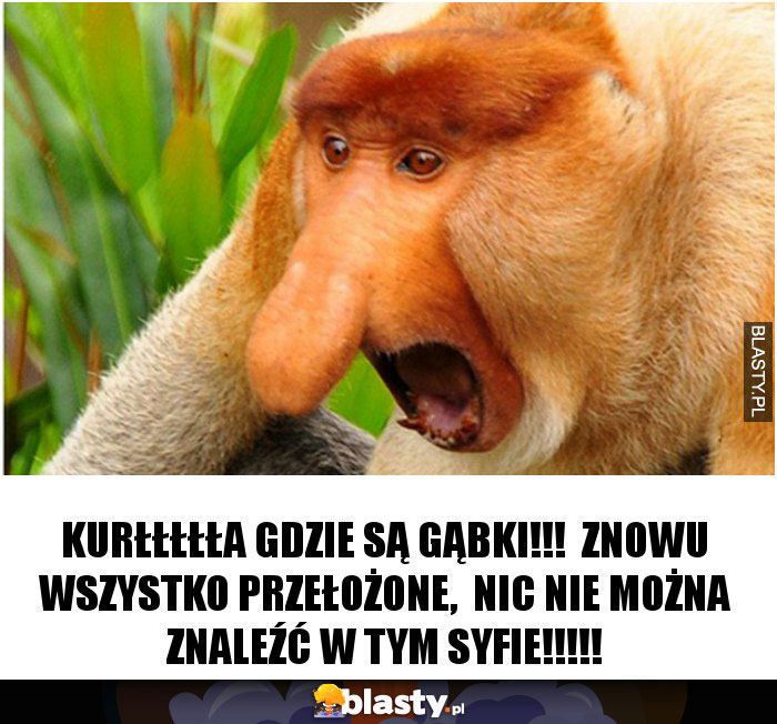 Kurłłłłła gdzie są gąbki!!!  Znowu wszystko przełożone,  nic nie można znaleźć w tym syfie!!!!!