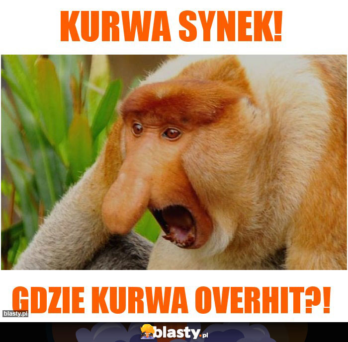 KURWA SYNEK!