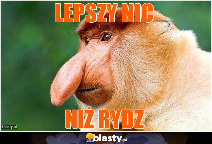 lepszy nic