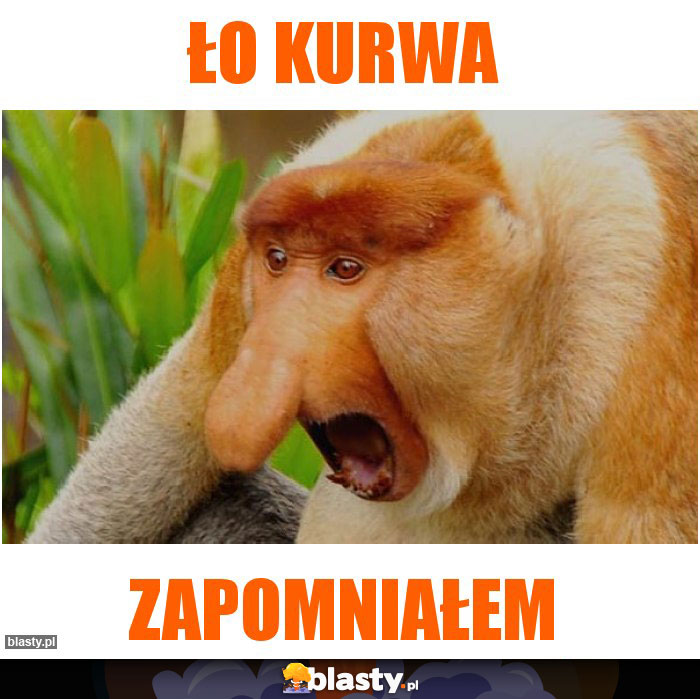 Ło kurwa