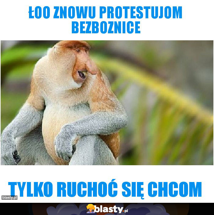 Łoo znowu protestujom bezboznice