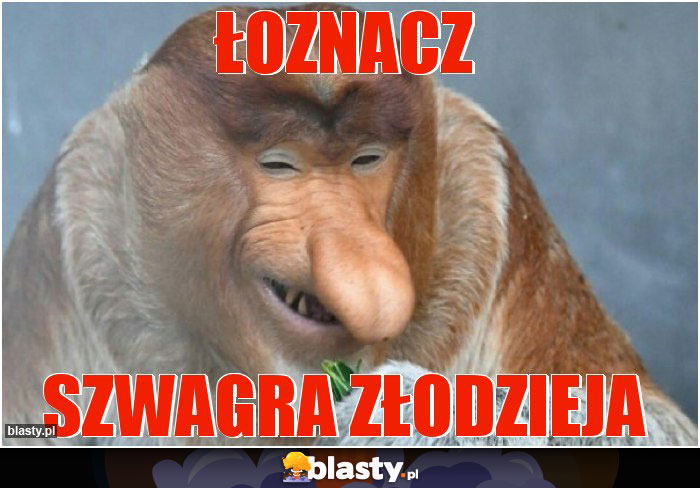 ŁOZNACZ