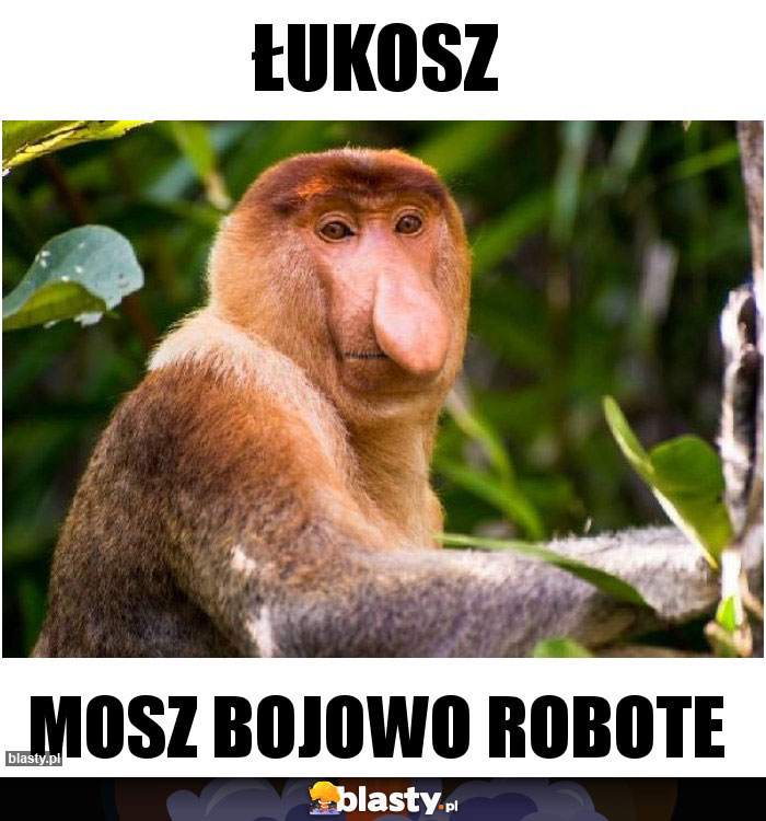 Łukosz