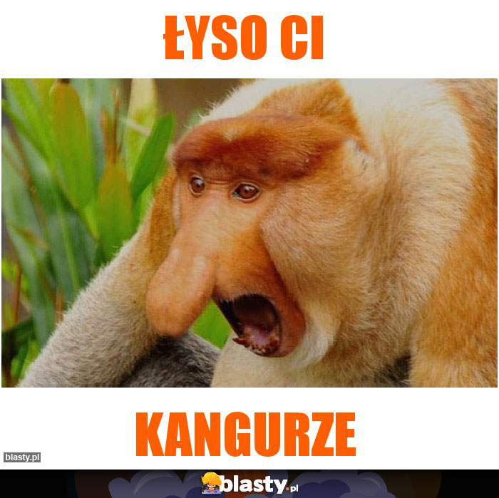 Łyso Ci