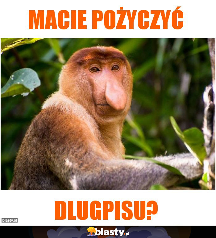 Macie pożyczyć