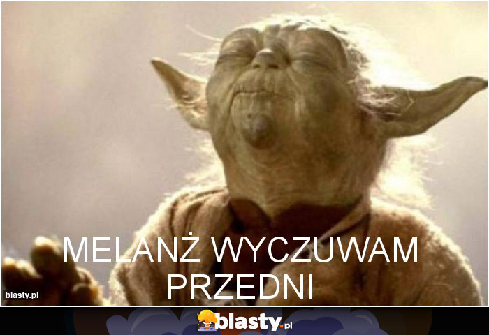 MELANŻ WYCZUWAM PRZEDNI