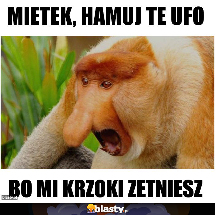 Mietek, hamuj te UFO