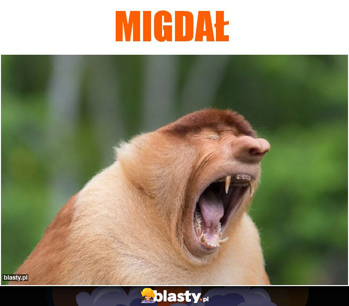 MIGDAŁ