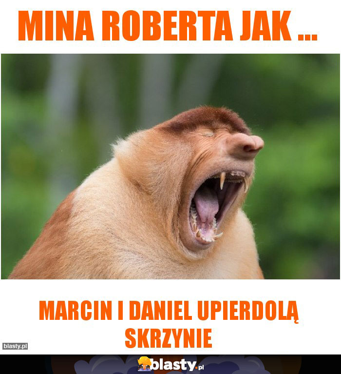 mina roberta jak ...