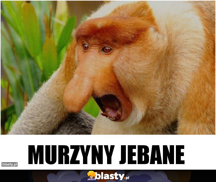 Murzyny jebane