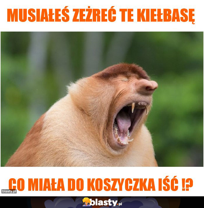 Musiałeś zeżreć te kiełbasę