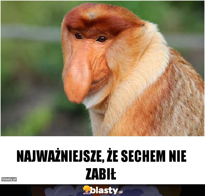 Najważniejsze, że Sechem nie zabił