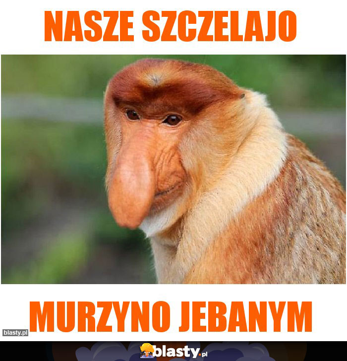 Nasze szczelajo