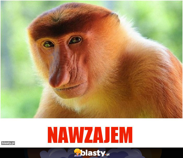 Nawzajem