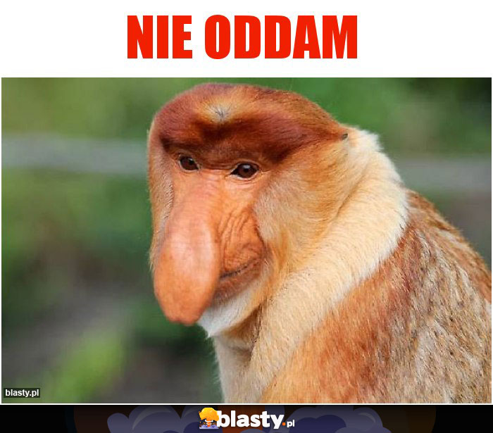 NIE ODDAM