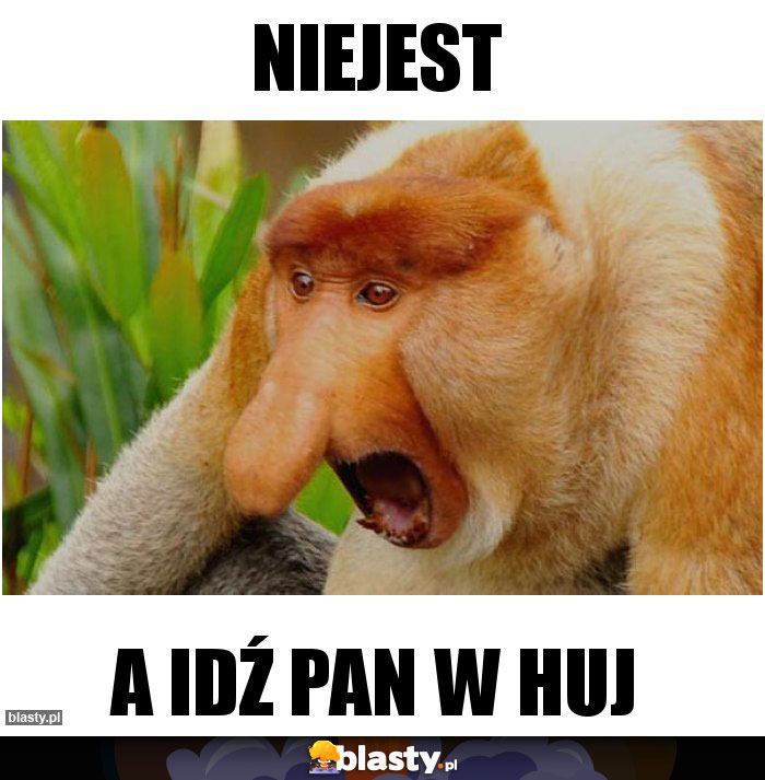 Niejest