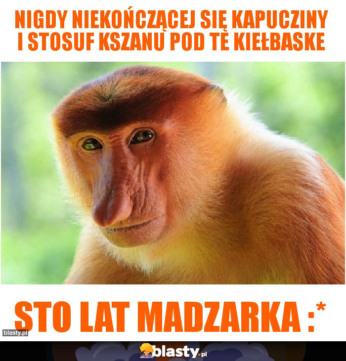 Nigdy niekończącej się kapucziny i stosuf kszanu pod te kiełbaske