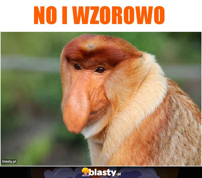 No i wzorowo