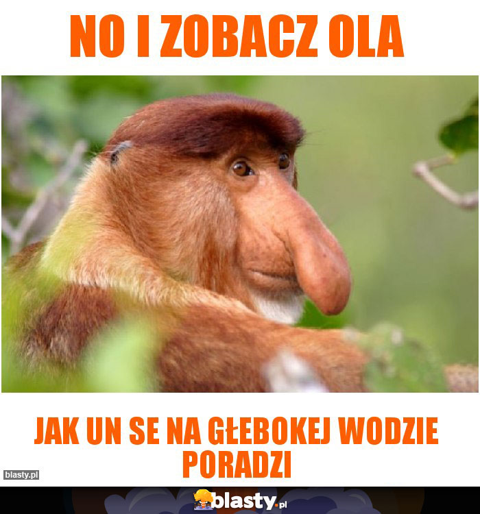 no i zobacz Ola