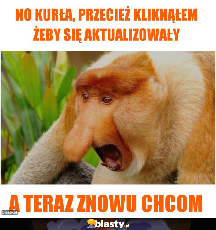 no kurła, przecież kliknąłem żeby się aktualizowały