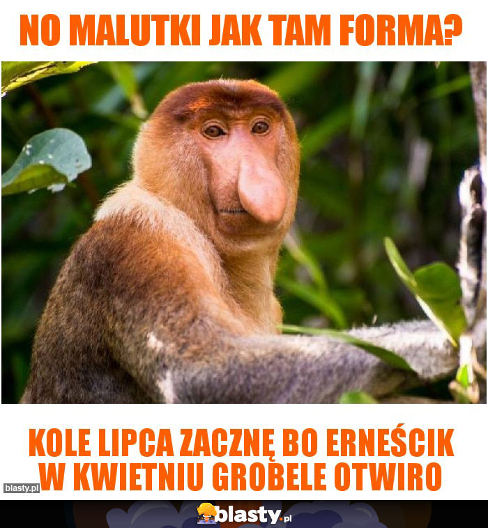 No malutki jak tam forma?