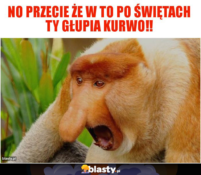 No przecie że w to po świętach ty głupia kurwo!!