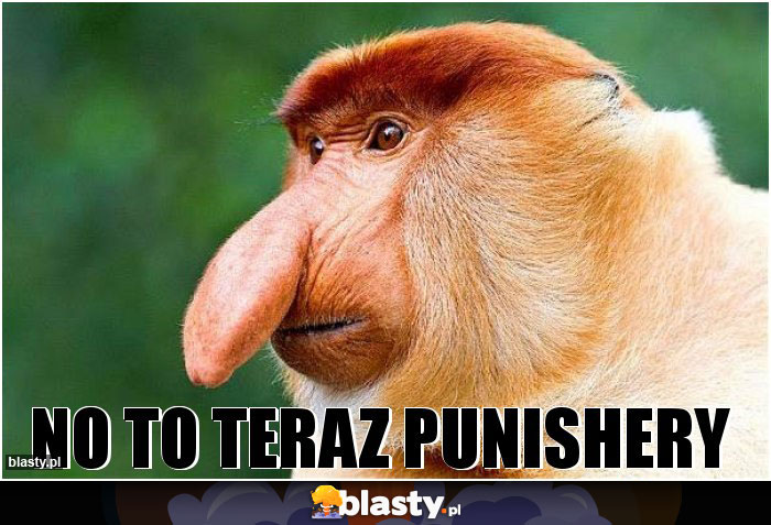 no to teraz punishery