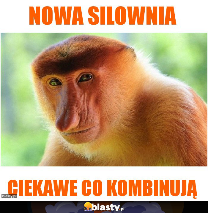 Nowa silownia