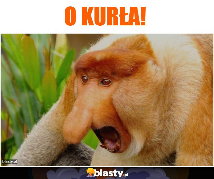 o kurła!