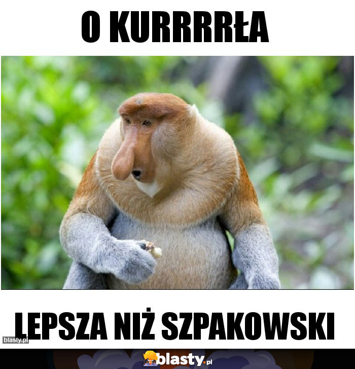 O kurrrrła