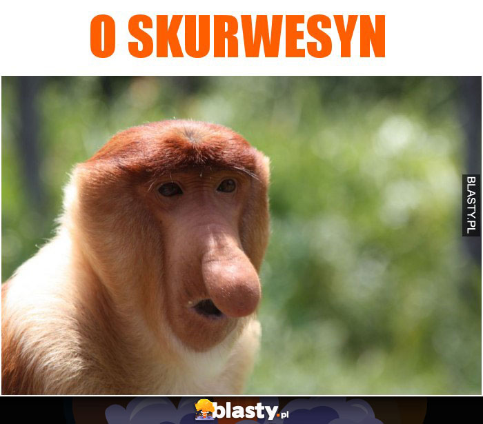 O SKURWESYN