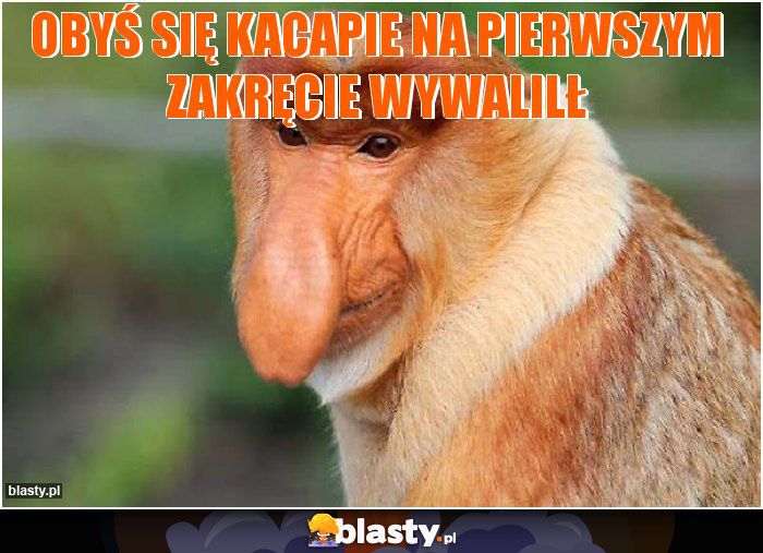 Obyś się kacapie na pierwszym zakręcie wywalilł