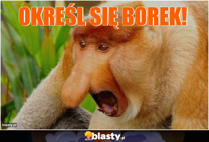 OKREŚL SIĘ BOREK!