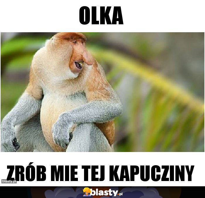 Olka