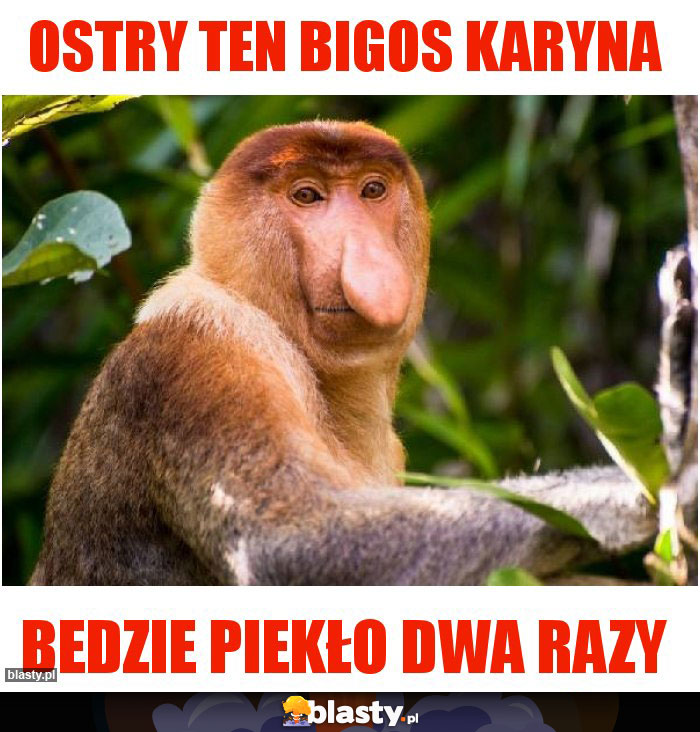 Ostry ten bigos Karyna