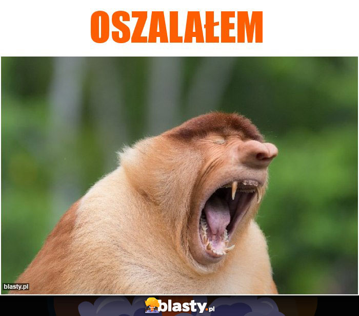 OSZALAŁEM