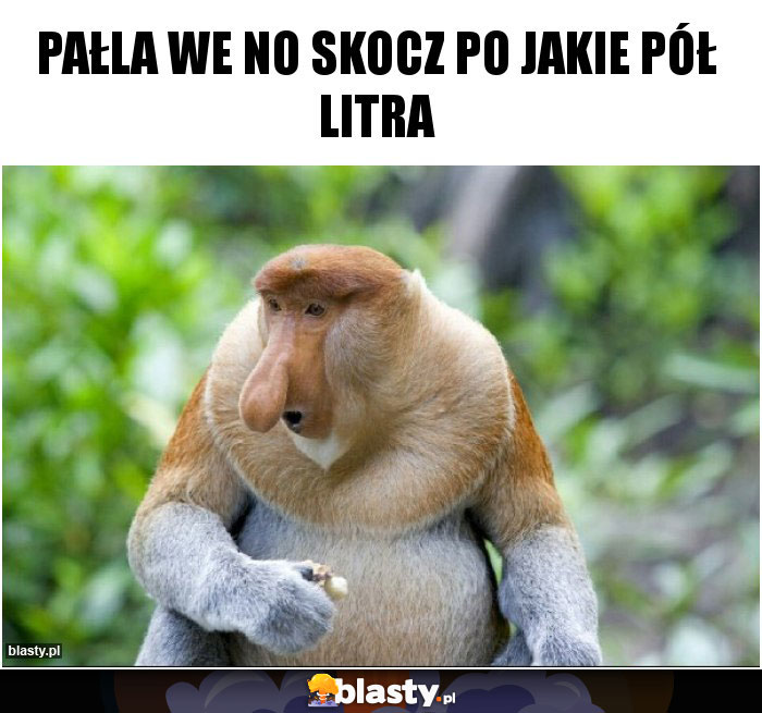 PAŁLA WE NO SKOCZ PO JAKIE PÓŁ LITRA