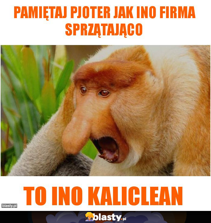 Pamiętaj Pjoter jak ino firma sprzątająco