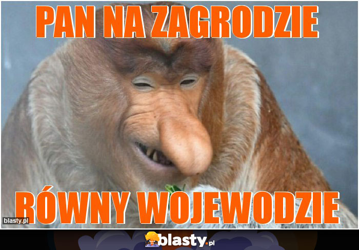 Pan na zagrodzie