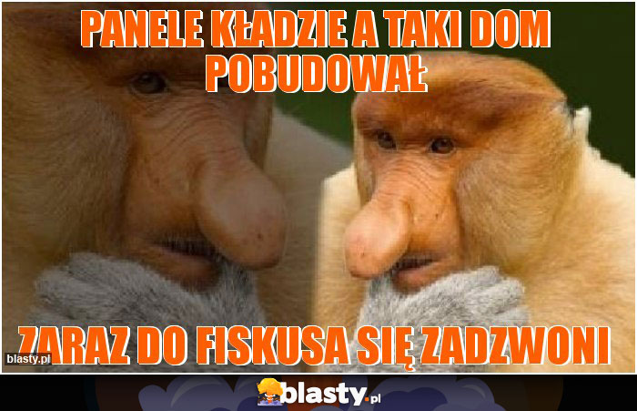 Panele kładzie a taki dom pobudował