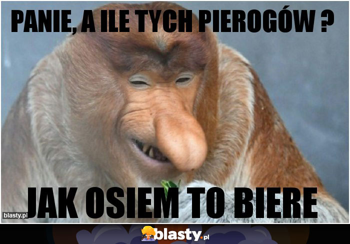 Panie, a ile tych pierogów ?