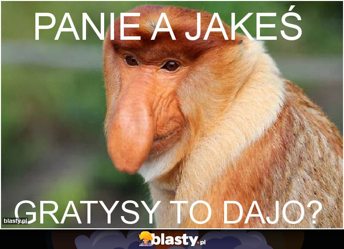 Panie a jakeś