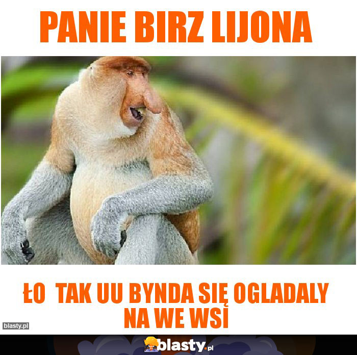 Panie birz lijona