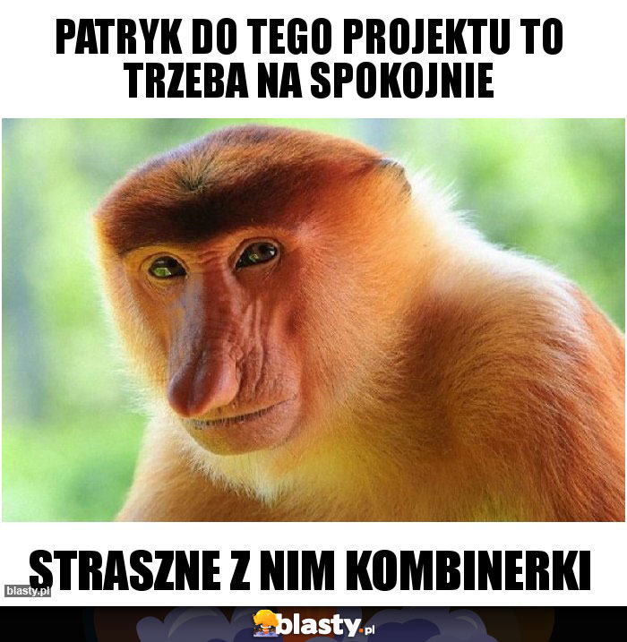 Patryk do tego projektu to trzeba na spokojnie