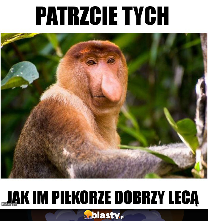 Patrzcie tych