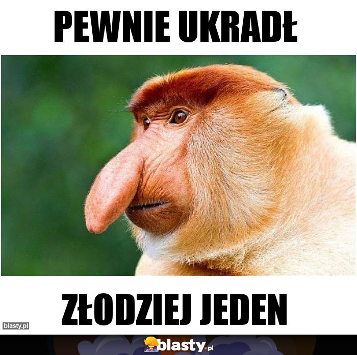 Pewnie ukradł