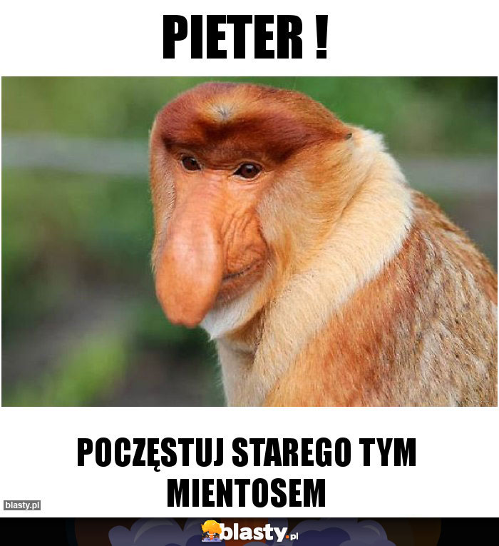 Pieter !